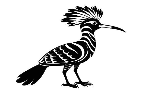 Black Silhouette Hoopoe Bird Vector