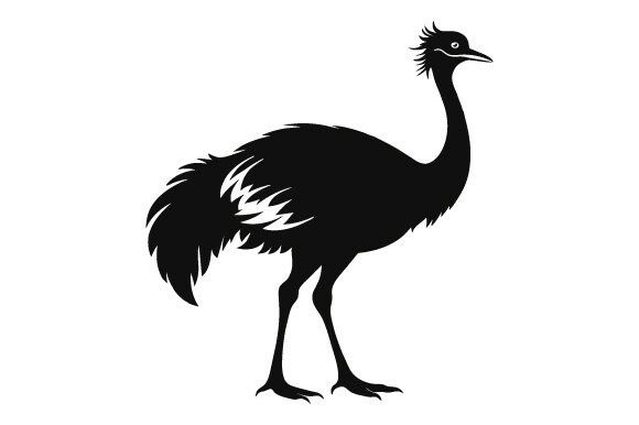 Evaluating the Cassowary Bird Black Silhouette Vector for Professional Design Projects