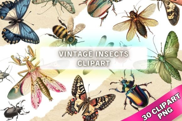 Revitalizing Analog Aesthetics: The Strategic Value of Vintage Insect Bugs Clipart PNG in Modern Design Workflows