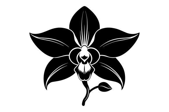 Venezuela Orchid Black Silhouette